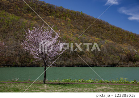 早春の浅里ダム 122888018