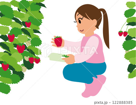 いちご狩り体験をする子どものイラスト01：女の子が摘んだいちごをコンデンスミルクにつけようとしている 122888385