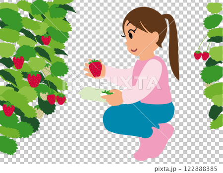 いちご狩り体験をする子どものイラスト01：女の子が摘んだいちごをコンデンスミルクにつけようとしている 122888385
