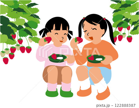 いちご狩り体験をする子どものイラスト03:仲良しの女の子がしゃがんでいちごを食べようとしている いちご狩り体験をする子どものイラスト03:仲良しの女の子がしゃがんでいちごを食べようとしている 122888387