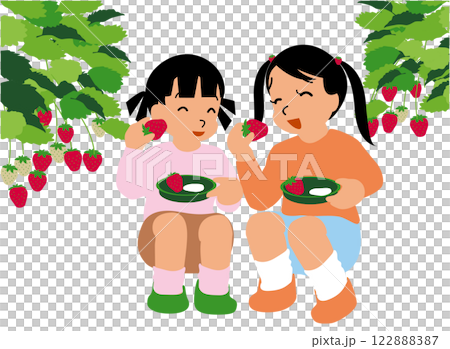いちご狩り体験をする子どものイラスト03:仲良しの女の子がしゃがんでいちごを食べようとしている いちご狩り体験をする子どものイラスト03:仲良しの女の子がしゃがんでいちごを食べようとしている 122888387