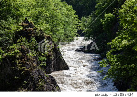 新緑の定山渓 122888434