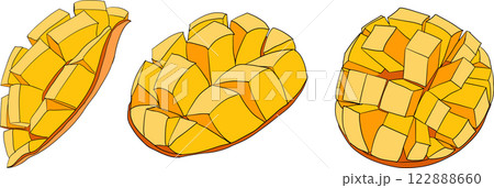 Hand drawn colored mango. Tropical fruit vector illustration. Hand drawn colored mango. Tropical fruit vector illustration. 122888660