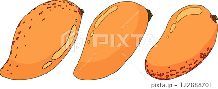 Hand drawn colored mango. Tropical fruit vector illustration.  122888701