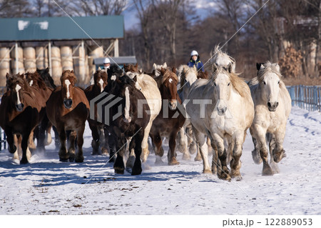 馬追い運動 122889053