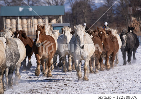 馬追い運動 馬追い運動 122889076