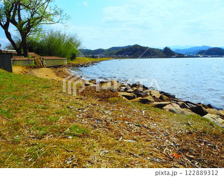 池の岸の芝生に流れ着いた流木 122889312