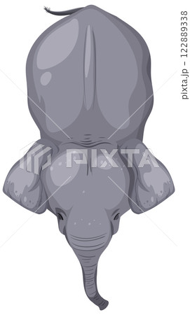 Top View of an Elephant Illustration Top View of an Elephant Illustration 122889338