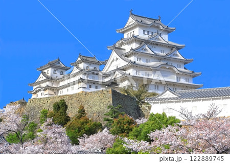 【兵庫県】快晴の姫路城と満開の桜 122889745