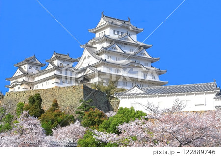 【兵庫県】快晴の姫路城と満開の桜 122889746