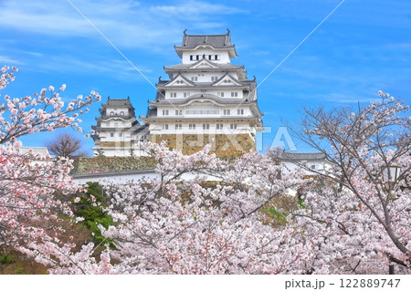 【兵庫県】快晴の姫路城と満開の桜 【兵庫県】快晴の姫路城と満開の桜 122889747