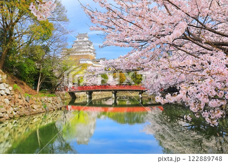 【兵庫県】晴天の姫路城の内堀と満開の桜 122889748