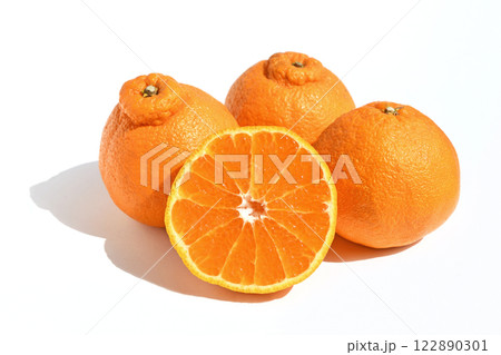 デコポンのように見える柑橘類(肥の豊) デコポンのように見える柑橘類(肥の豊) 122890301