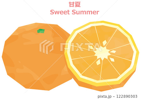 甘夏のイラスト　水彩風 122890303