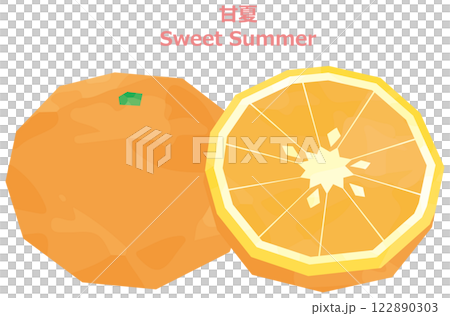 甘夏のイラスト　水彩風 122890303