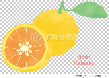 Watercolor illustration of hassaku 122890304