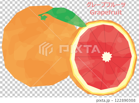 グレープフルーツのイラスト　水彩風 122890308