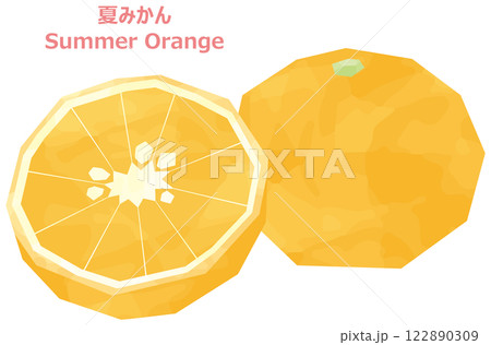 夏みかんのイラスト　水彩風 122890309
