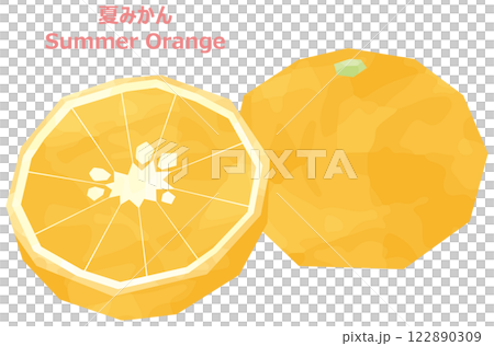 夏みかんのイラスト　水彩風 122890309