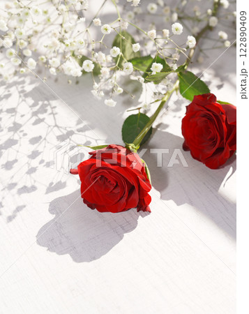 Red rose on white wood background. copy space. 122890409