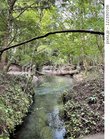 山の中で大自然を感じる 山の中で大自然を感じる 122890506