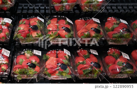Kumamon doll is marked on strawberry for sale . it is a mascot bear in Kumamoto. 122890955