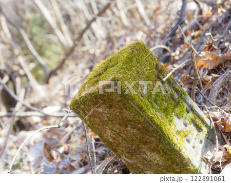 苔むした目印 122891061
