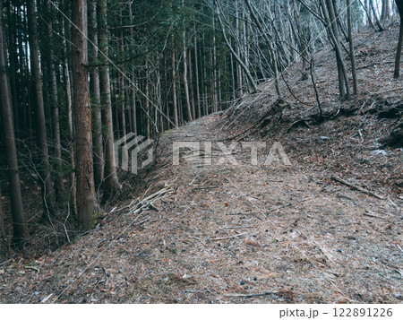 細い山道 122891226
