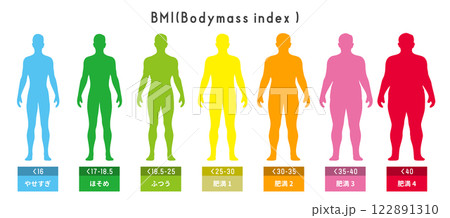 男性のBMI分類と体型比較の全身シルエット図 イラストセット 122891310