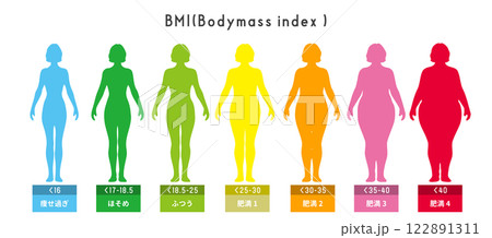 女性の体型とBMI分類の比較イラストセット シルエット付き全身図 女性の体型とBMI分類の比較イラストセット シルエット付き全身図 122891311