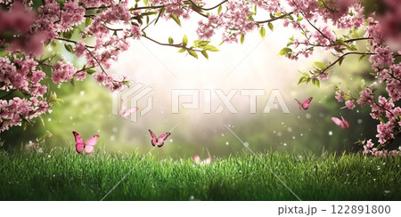 Butterflies flying over green grass in a blooming spring meadow 122891800