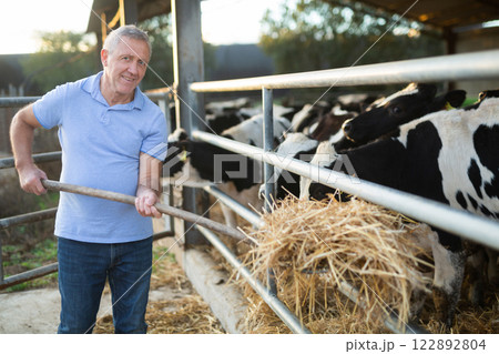 Male farmer feeding cows in stables with hay Male farmer feeding cows in stables with hay 122892804