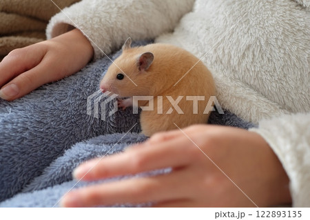 小学生と遊ぶハムスター 122893135