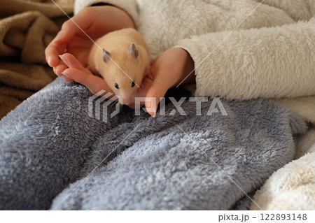 小学生と遊ぶハムスター 122893148