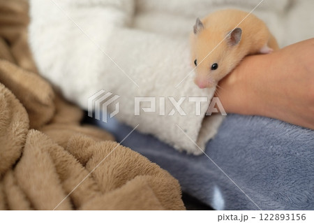 小学生と遊ぶハムスター 122893156
