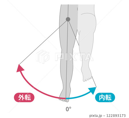 股関節の可動域 内転と外転 股関節の可動域 内転と外転 122893173