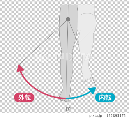 股関節の可動域 内転と外転 股関節の可動域 内転と外転 122893173