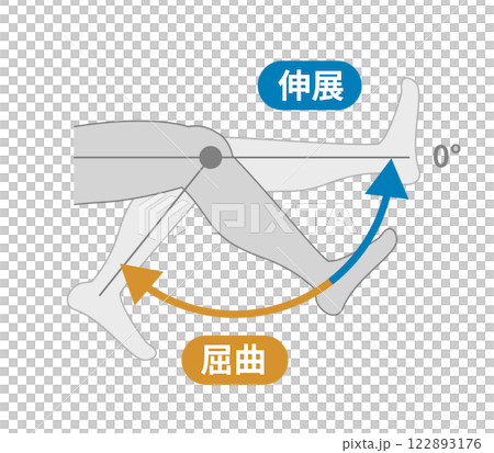 膝關節活動範圍:屈曲和伸展 膝關節活動範圍:屈曲和伸展 122893176