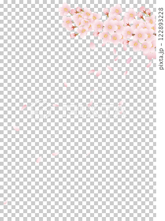 Cherry tree _ 02 122893228