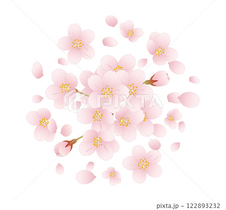 桜_06 桜_06 122893232