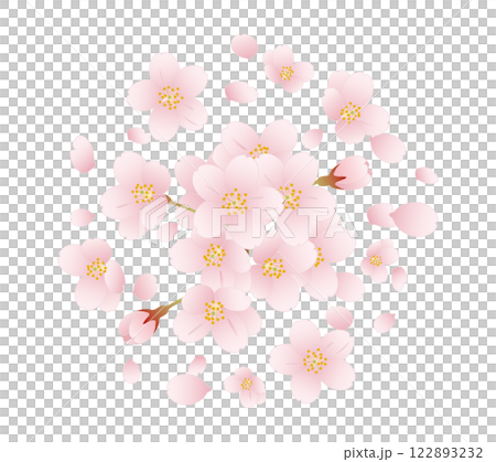 櫻花_ 06 122893232