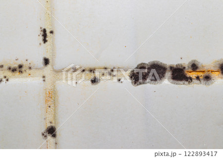 Black fungus mold on the wall 122893417