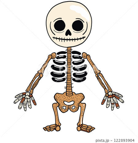 cartoon skeleton with round head, large eyes, and playful expression, featuring detailed bones and simple design. Perfect for Halloween or educational themes cartoon skeleton with round head, large eyes, and playful expression, featuring detailed bones and simple design. Perfect for Halloween or educational themes 122893904