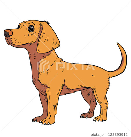 Cartoon Dachshund with Detailed Vintage Illustration Style 122893912