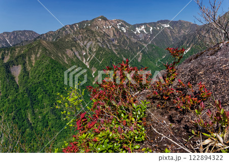 万太郎山・吾策新道から見る茂倉岳・谷川岳 122894322