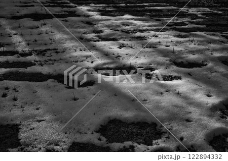 初氷が芸術的な市立美術館の朝 初氷が芸術的な市立美術館の朝 122894332