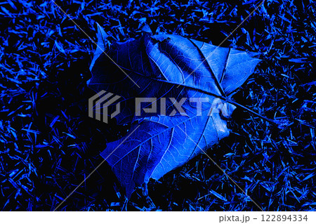 初氷が芸術的な市立美術館の朝 初氷が芸術的な市立美術館の朝 122894334