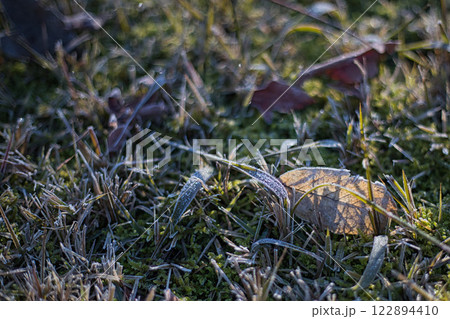 初氷が芸術的な市立美術館の朝 122894410