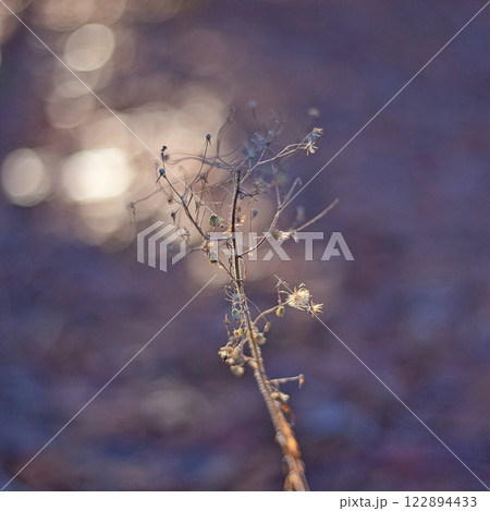 初氷が芸術的な市立美術館の朝 122894433
