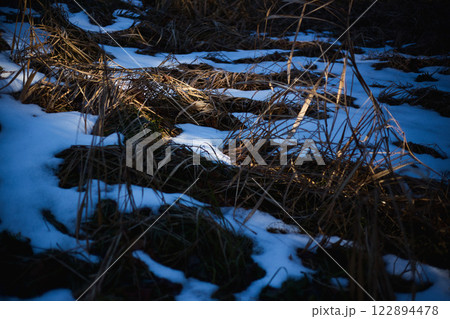 初氷が芸術的な市立美術館の朝 122894478